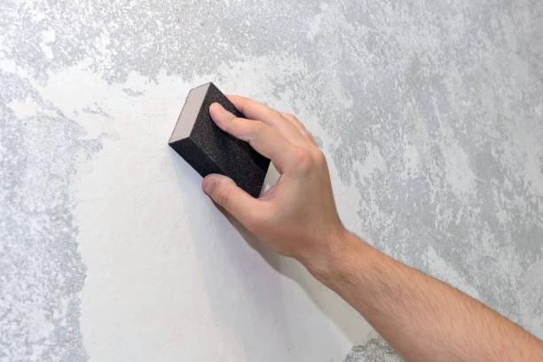 Best Mold Prevention Services  in Rossville, MD