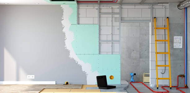 Best Attic Mold Removal  in Rossville, MD