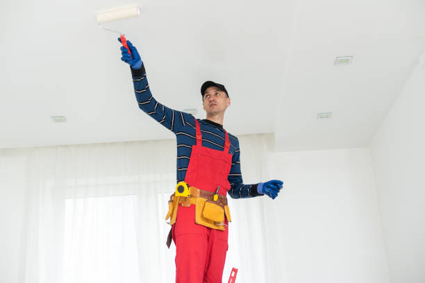 Mold Odor Removal Services in Rossville, MD